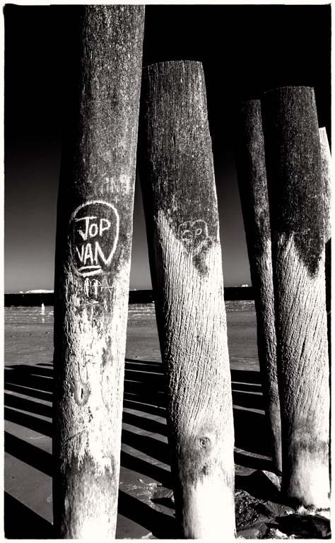 Digital B n W In Class B By Dawn Finaldi For Love At The Beach MAR-2020.jpg